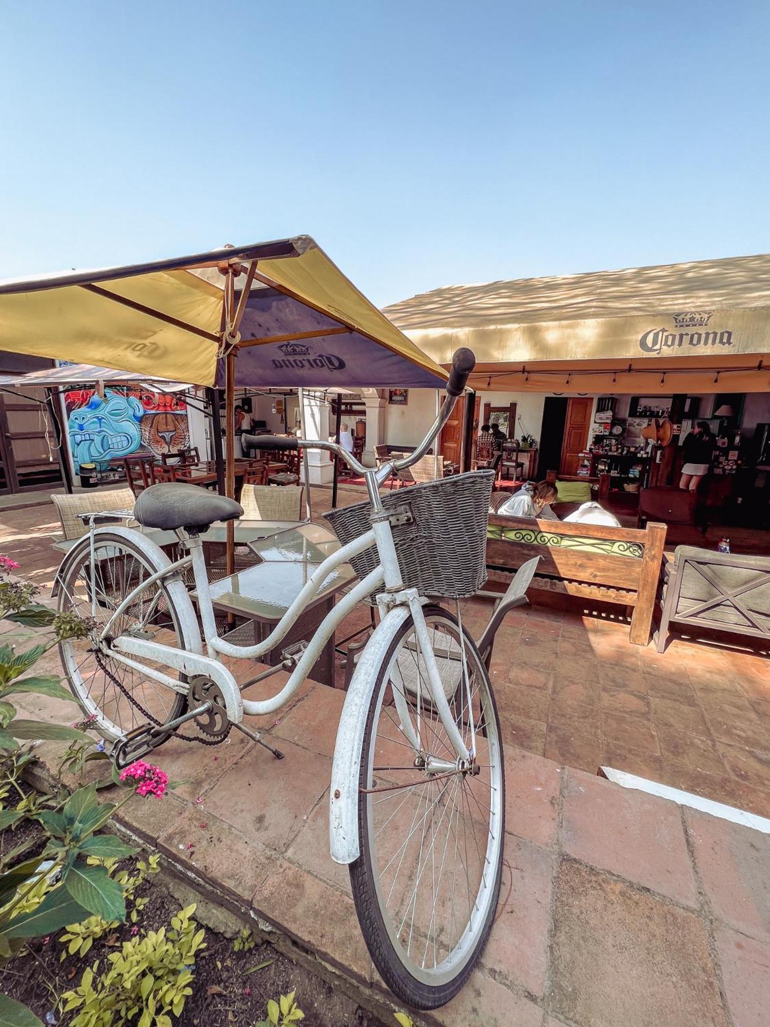 Hostal Antigueeno Antigua ภายนอก รูปภาพ