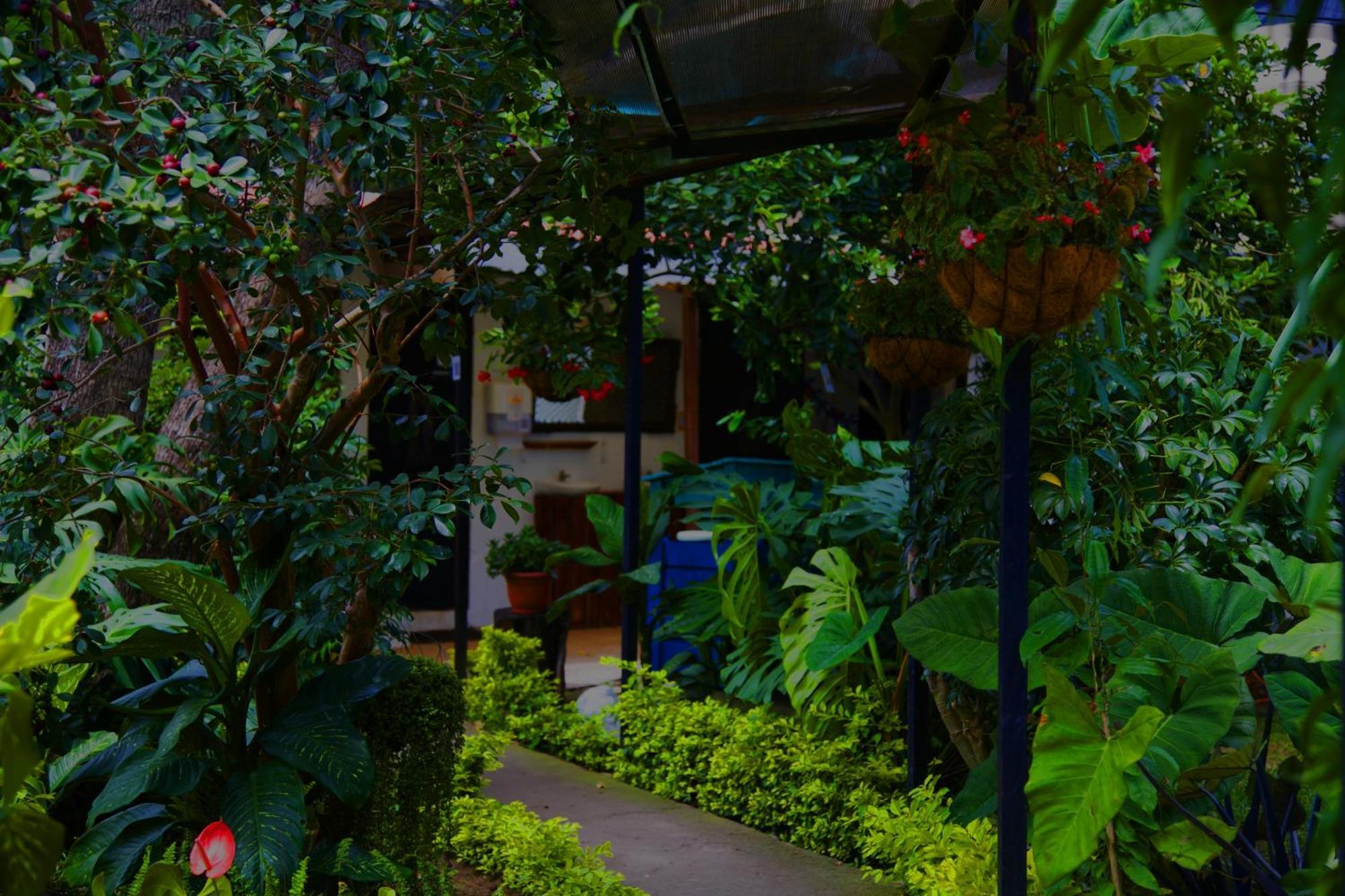 Hostal Antigueeno Antigua ภายนอก รูปภาพ